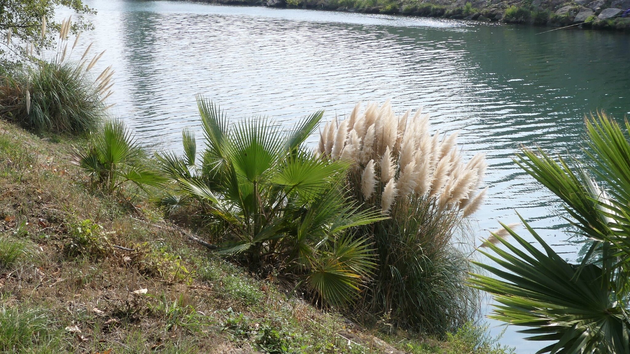 P1070282 (2)
