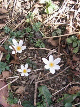 IMG_8554_bis