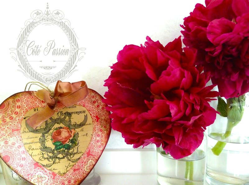Pivoines Coeur Côté Passion