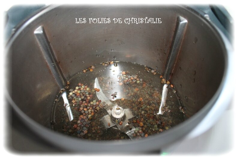 Salade de lentilles au thon 1
