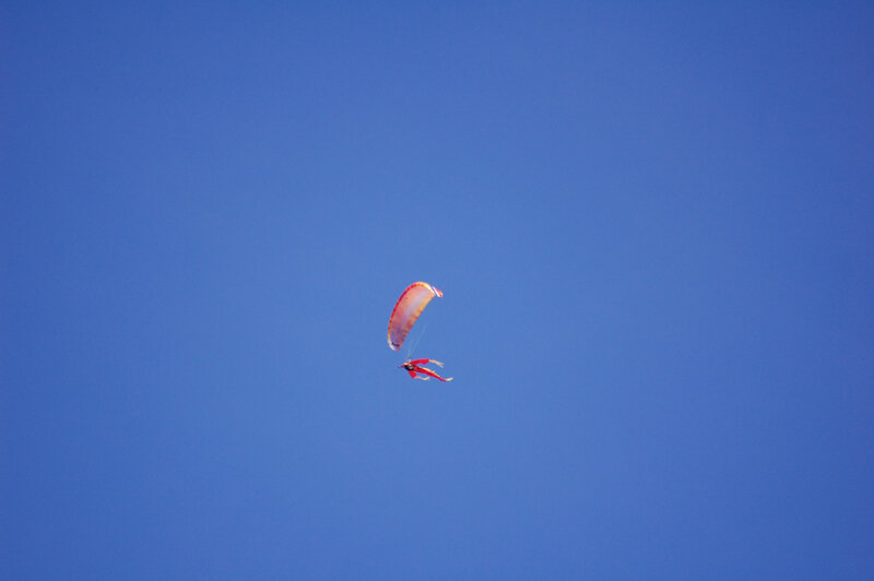 zoom (83)