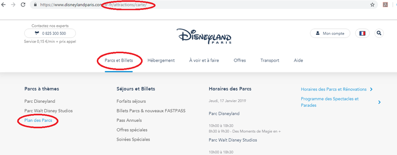 disney_plan