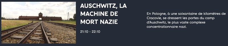 AUSCHWITZ, LA MACHINE DE MORT NAZIE_RMC Découverte