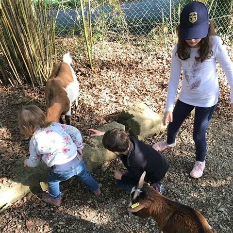 La tribu au Zoo de Pont Scorff ©Kid Friendly