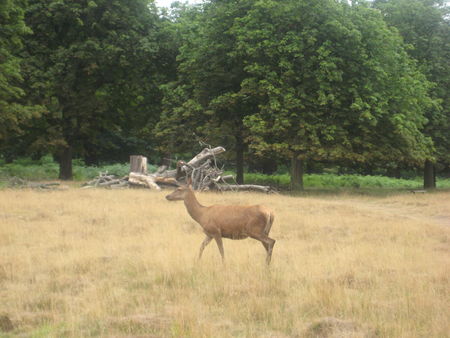 Photo_046
