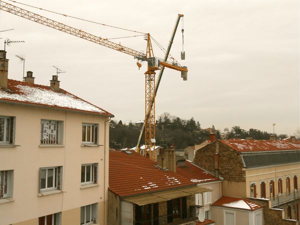 grue 18 janvier 2013 (2)