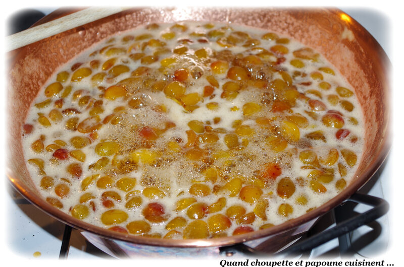 confiture mirabelles-6192