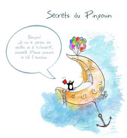 secret_de_pin_copie