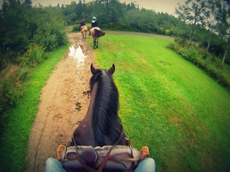 A cheval sur des selles western!