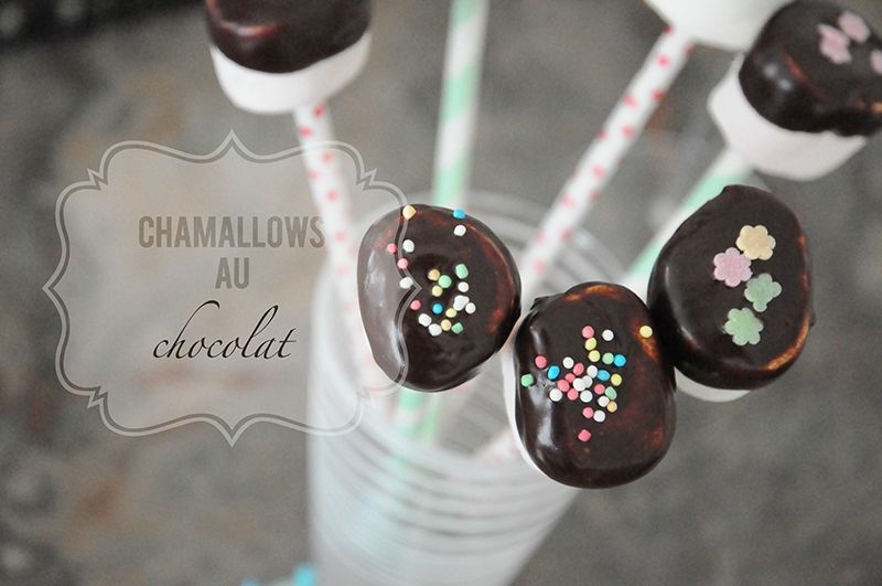 chamallows-choc-800