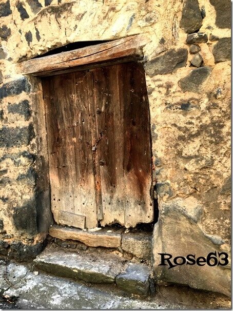 Rose63 (1)