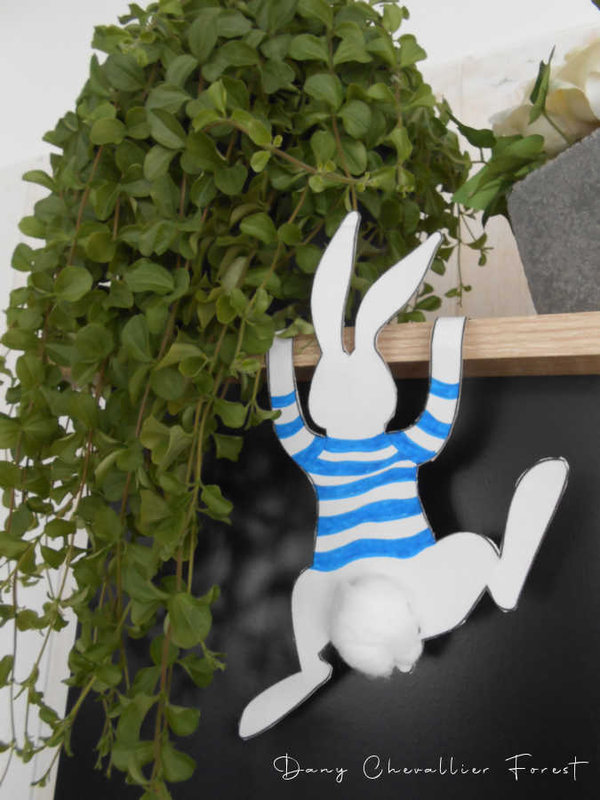 lapin blanc raye1