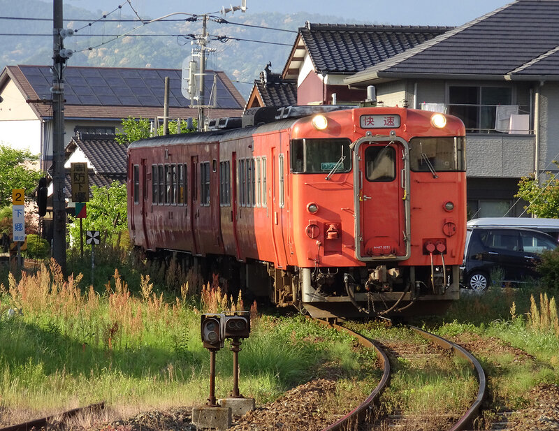 KiHa 47