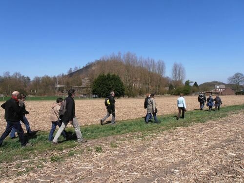 Promenade Van Gogh - Chemin de Messe & Marcasse