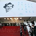 <b>Festival</b> de <b>Cannes</b> 2015 notes 4/10.