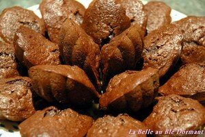 Madeleines_chocolat_1