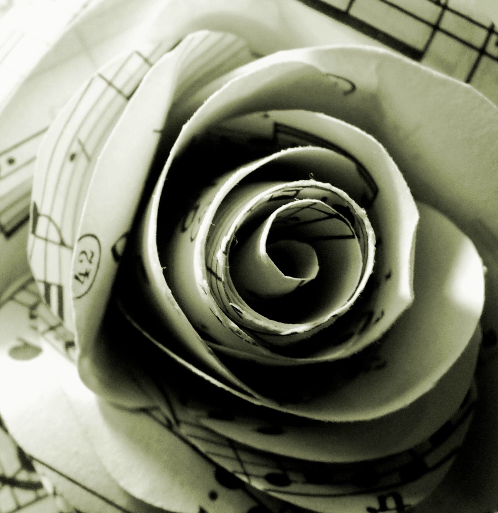 Rose découpée à main levée dans une sonate de Mozart,©Kalifragili (tous droits réservés)