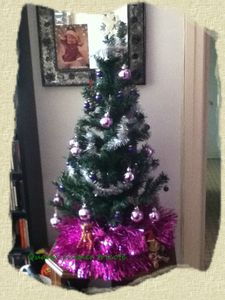 Sapin1