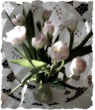 roses_2