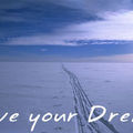 Live you dream !