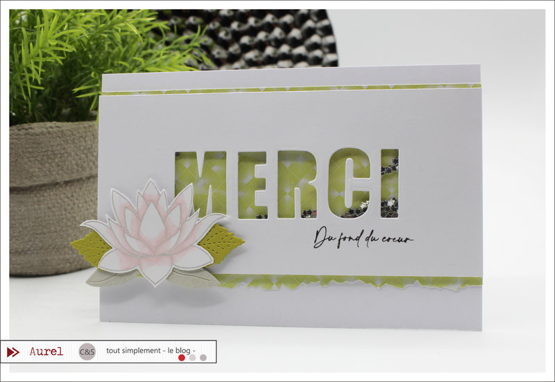 03 - 090322 - Carte Merci du fond du coeur - Shaker card Maryscrap #2