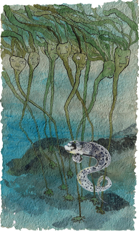 kelp-forest-w-eel