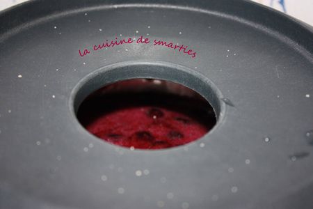 confiture_myrtilles_jul_09__6_red