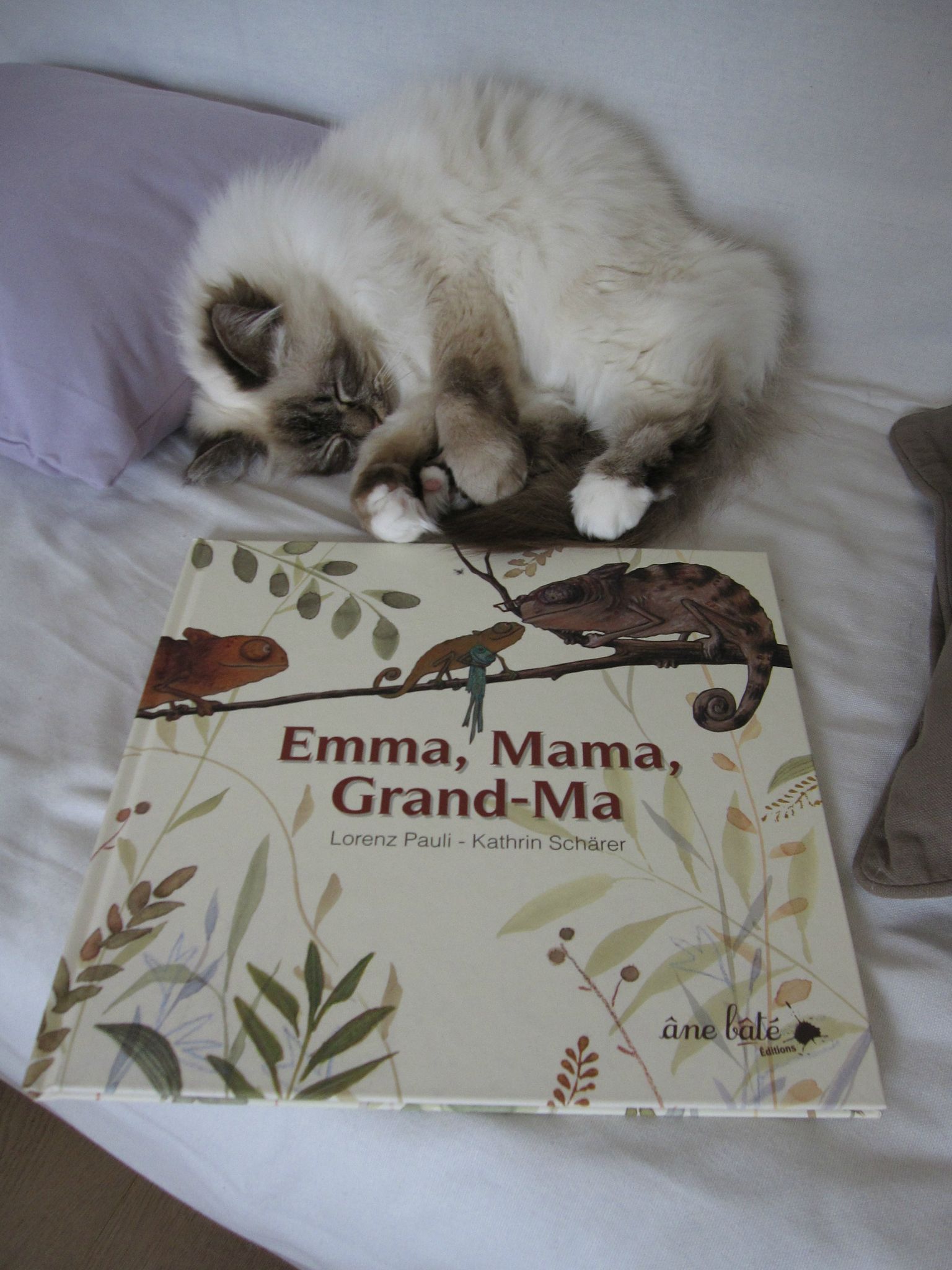 Emma, Mama, Grandma - Lorenz Pauli et Kathrin Schärer - Les riches ...