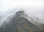 210407_Milford_sounds__200_