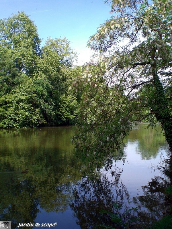 Le Loiret et ses couleurs…