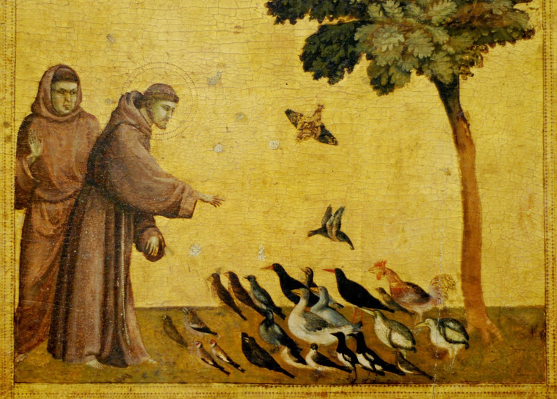 Giotto_di_Bondone_-_stygmatyzacja_sw