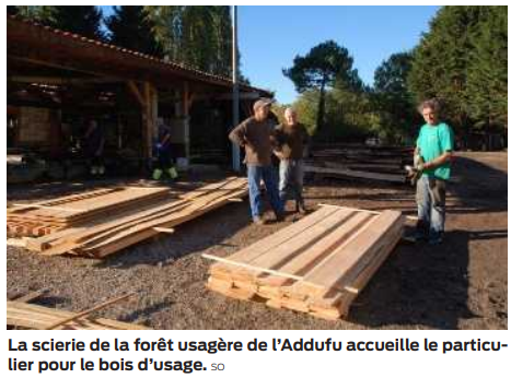 2022 05 13 forêt usagère3