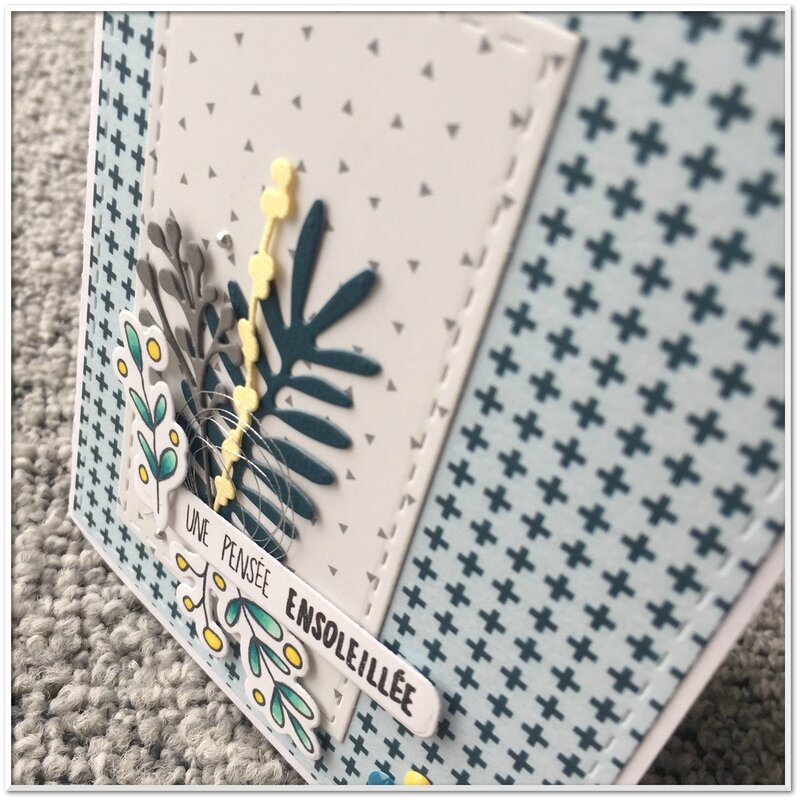 couleuretscrap_carte_amitié_combo_février_Little_miniature