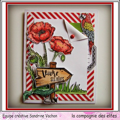 Carte coquelicots VIVRE SES REVES dt LCDE (1)
