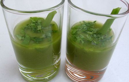 gaspacho vert2