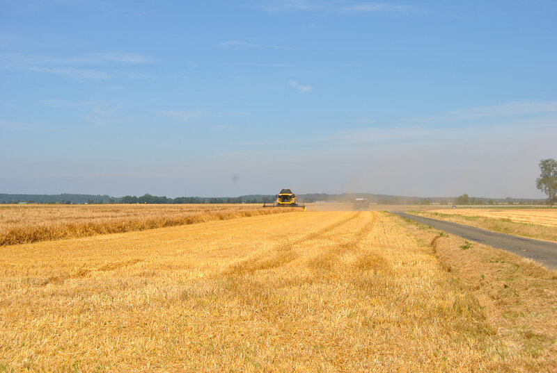 baromesnil moisson ledoux 16-07-2019 001 (5)