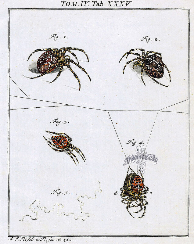 p 76