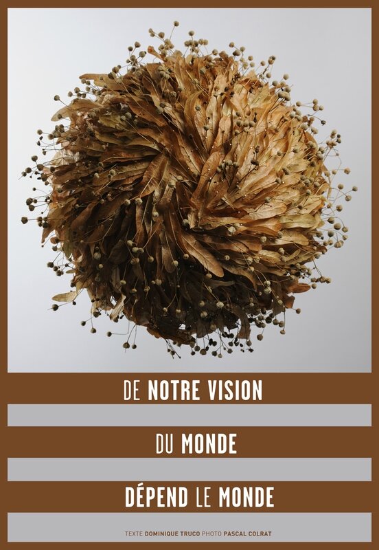 NOTRE VISION DU MONDEBD