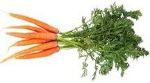carottes en botte