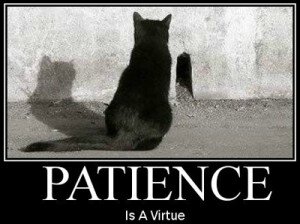 patience-is-a-virtue