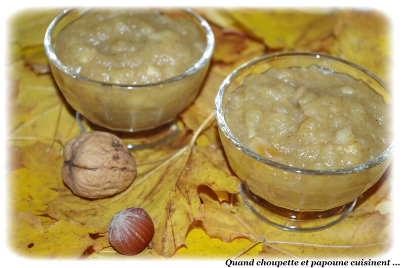 compote de pommes aux épices-7087