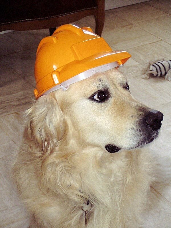En chef des travaux finis