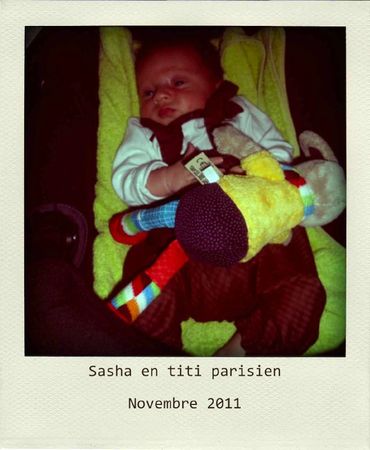 DSCN1509-pola