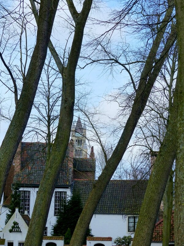 BRUGES le béguinage 27 mars 2015 (47)