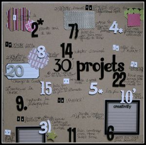 30 projets
