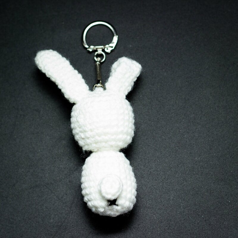 lapin0010