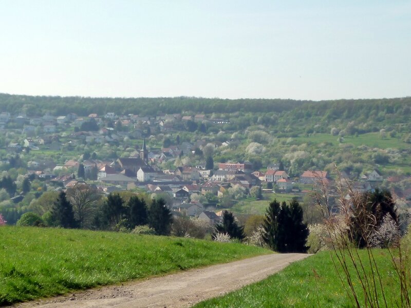 P1120535