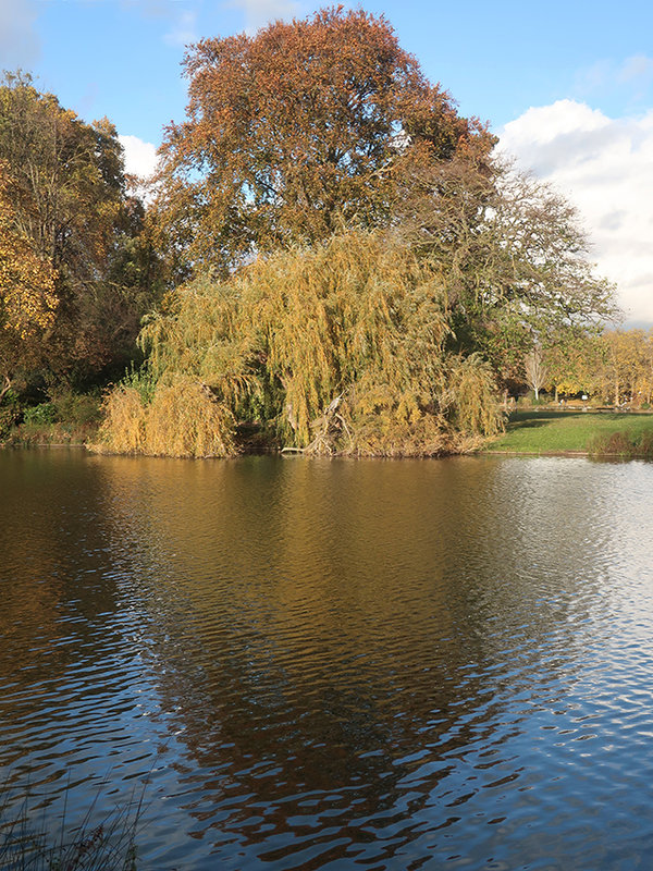 lac du 18 f