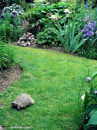 Jardin privé du rosiériste André EVE