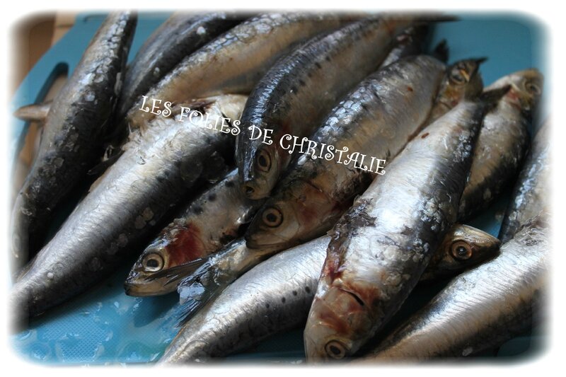 Sardines 0